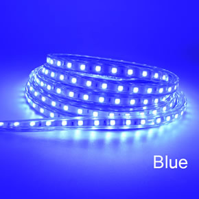 LED Strips  5050 blue