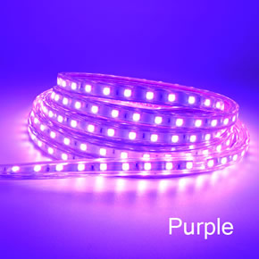 LED Strips  5050 purple